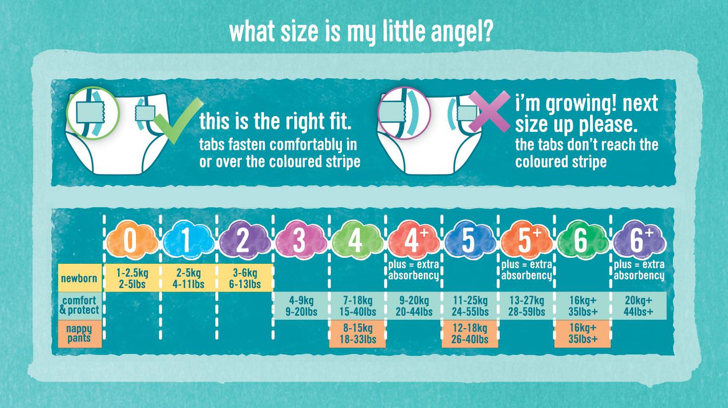 Little Angels  2 (58pk) (6lbs-13lbs)